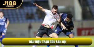 Dấu Hiệu Trận Đấu Bán Độ | Nhận Biết Cạm Bẫy Trong Bóng Đá
